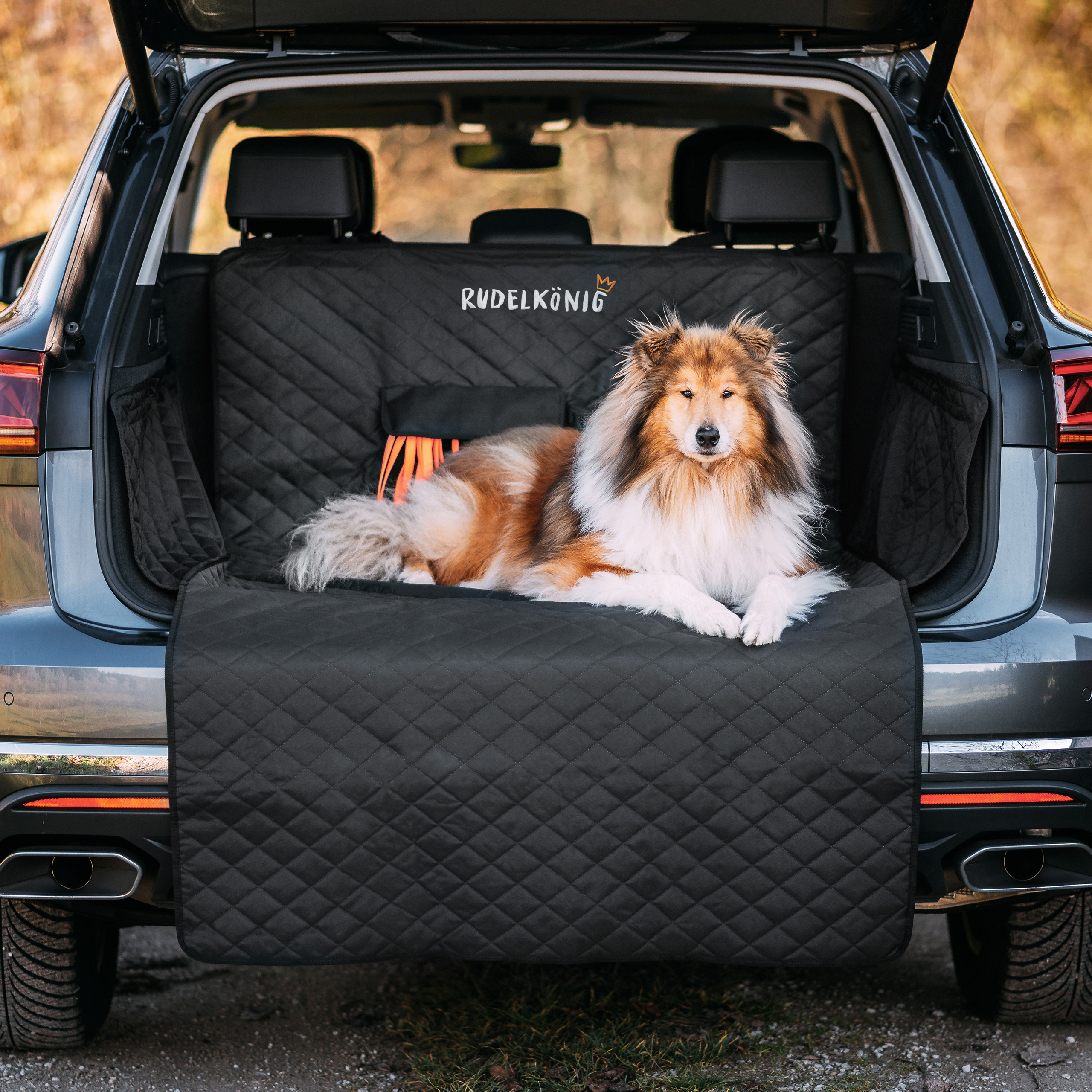 Rudelkönig Kofferraumschutz Hund Autoschondecke wasserdicht Ladekantenschutz