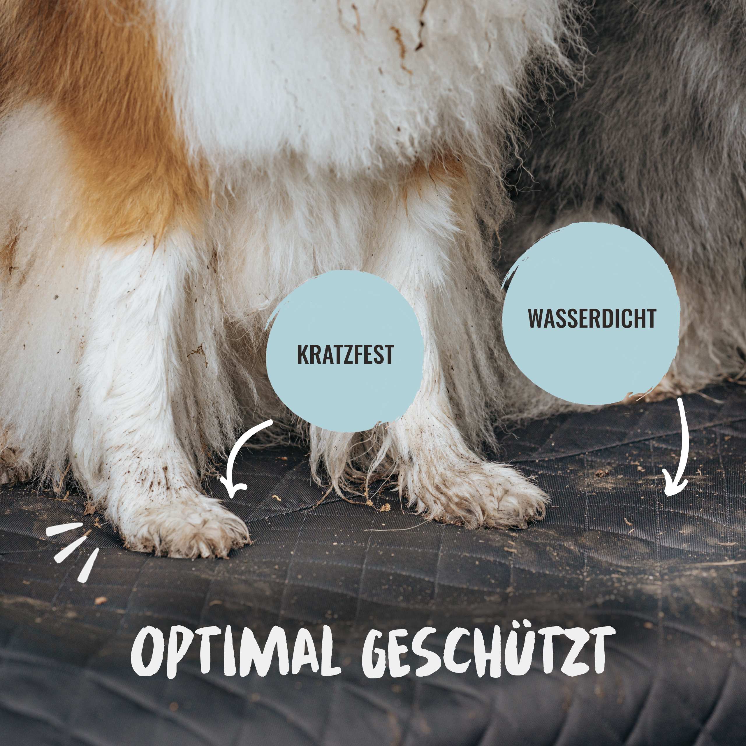 Rudelkönig Kofferraumschutz Hund Autoschondecke wasserdicht Ladekantenschutz